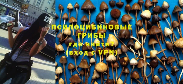 кокс Алзамай