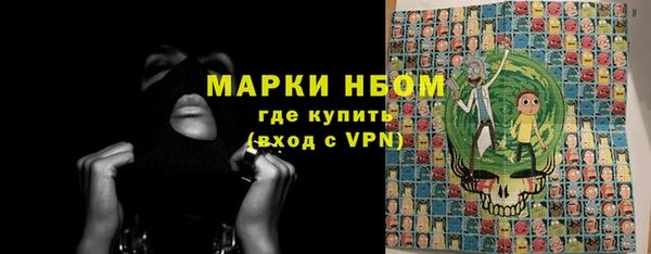хмурый Нея